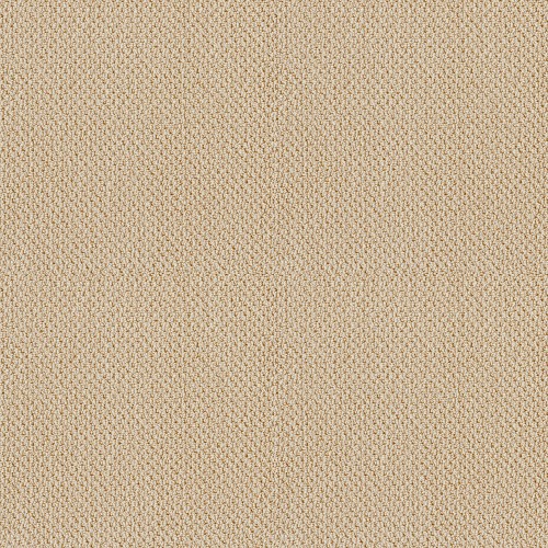 Traditional Elegance by Shaw Floors