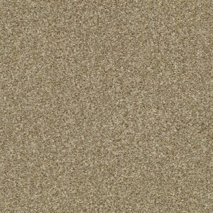 Cabana Life (T) by Shaw Floors