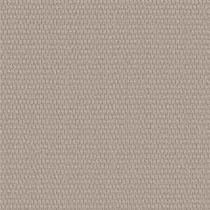 Cozy Embrace by Shaw Floors