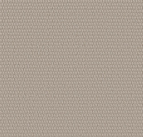 Cozy Embrace by Shaw Floors