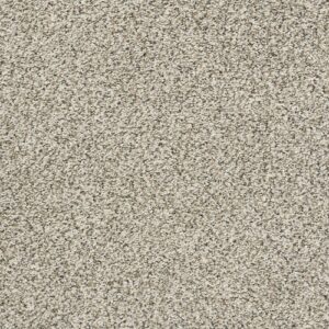 All Set Ii by Shaw Floors