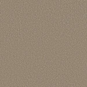 High Ranking S by Shaw Floors
