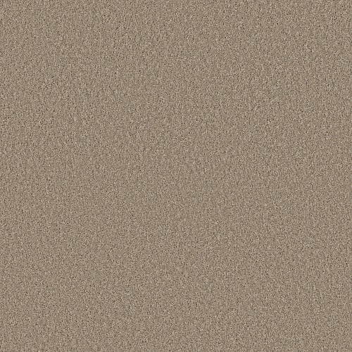 High Ranking S by Shaw Floors