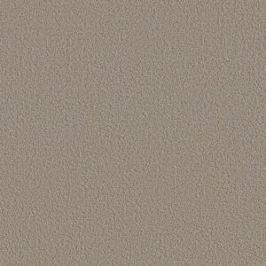 Aerial View by Shaw Floors