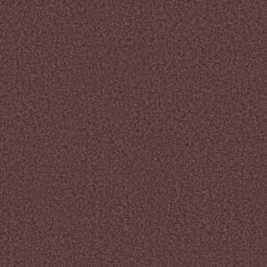 Dreamin' 12' by Shaw Floors